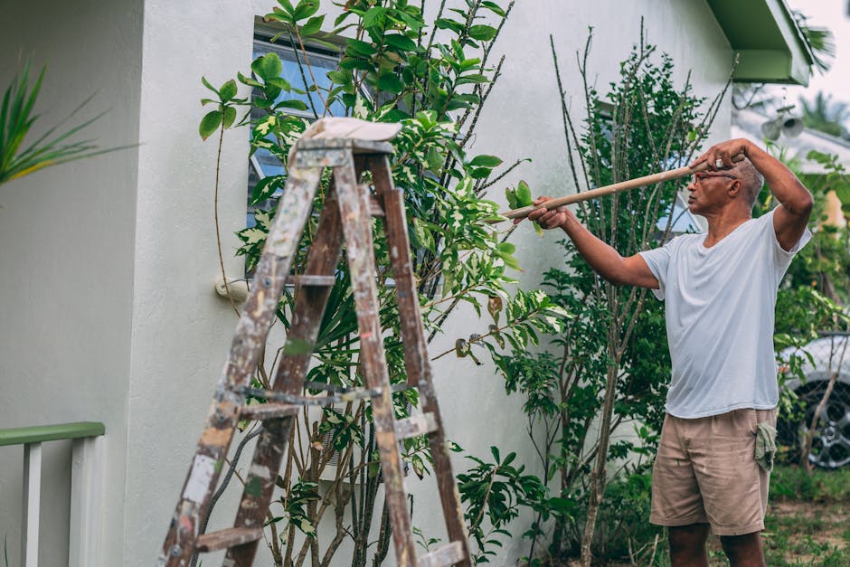 "Hoe maak je een doe-het-zelf verticale tuinwand in je huis" - Afbeelding 1